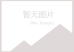 大新县映寒化学有限公司